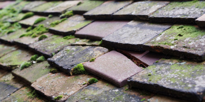 Little Easton roof repair costs